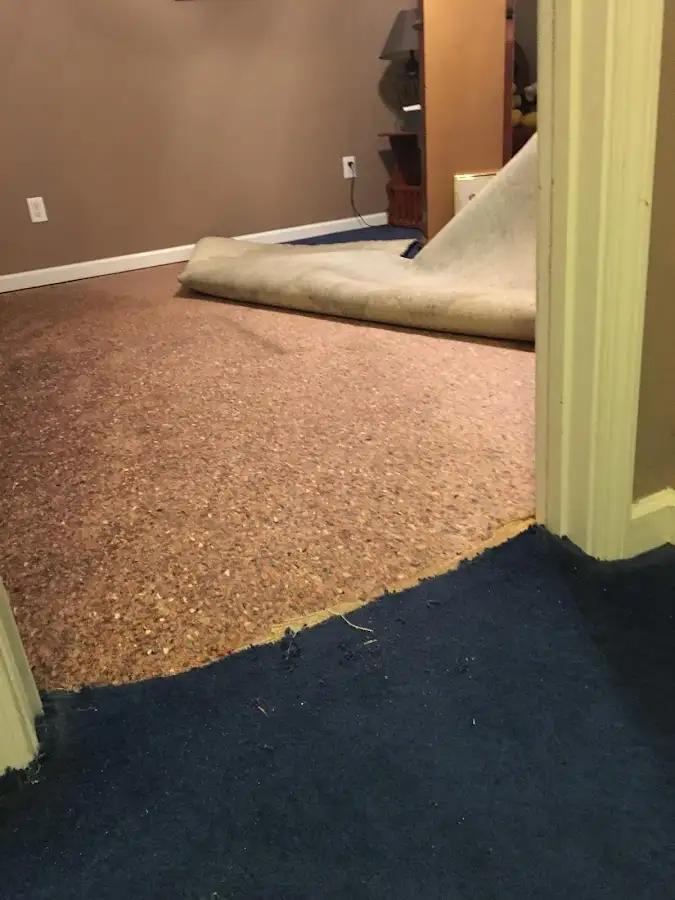 Carpet pad removal revealing water damage during Water Mitigation Services in Pitman