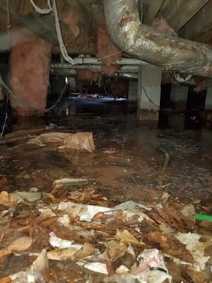 Crawl space flood assessment for Leak Detection & Repair in Pitman